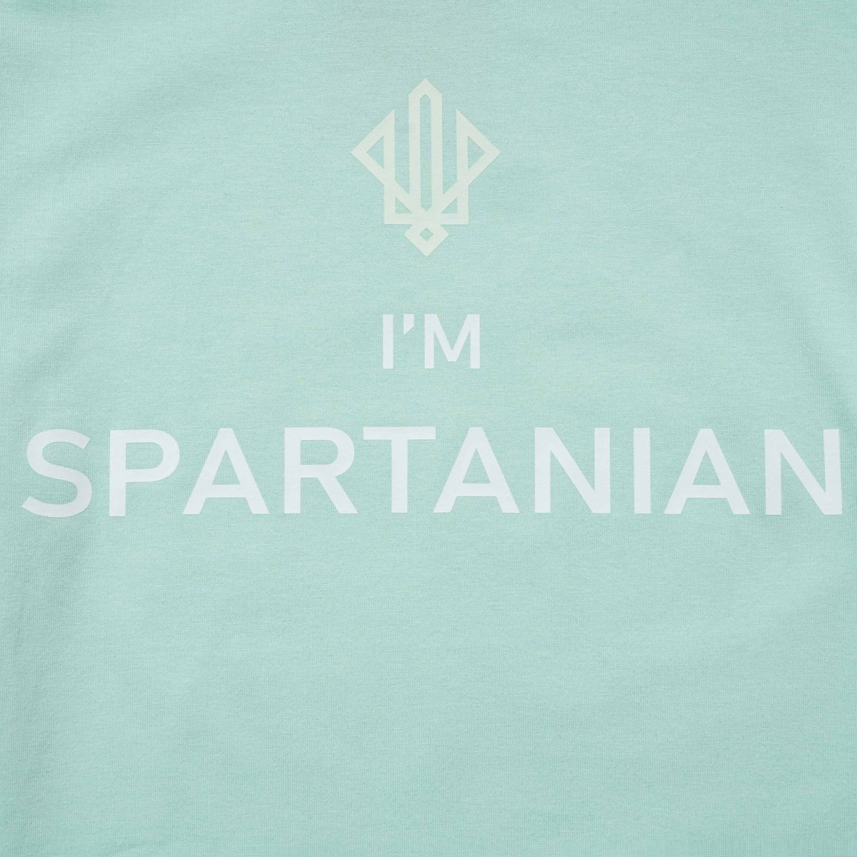 Футболка «I’m SPARTANIAN», ментолова